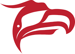 Animikii Scholarships 2025